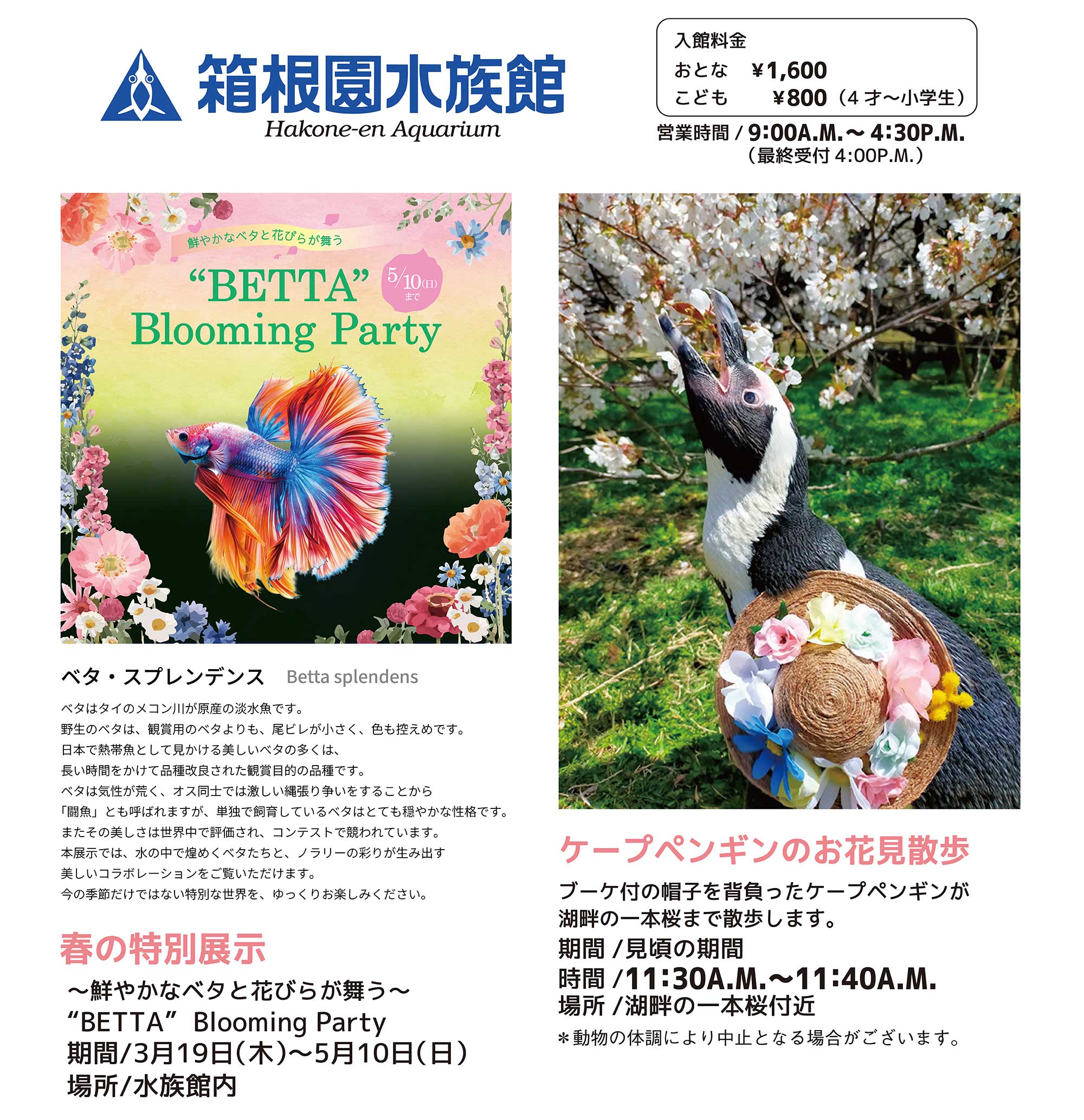 箱根園水族館