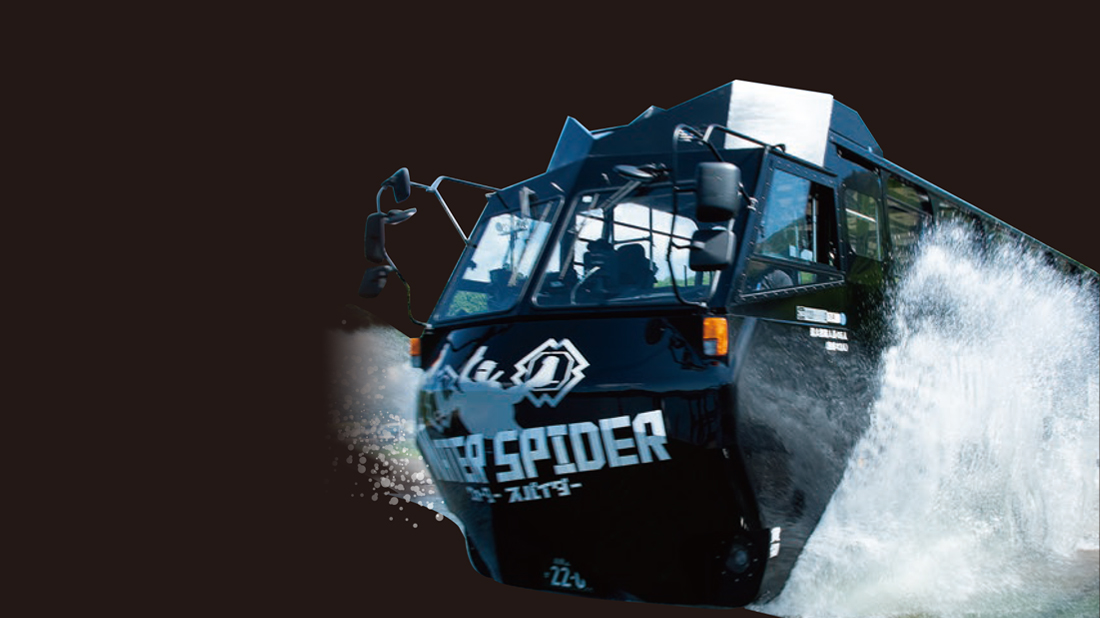 NINJA BUS / WATER SPIDER