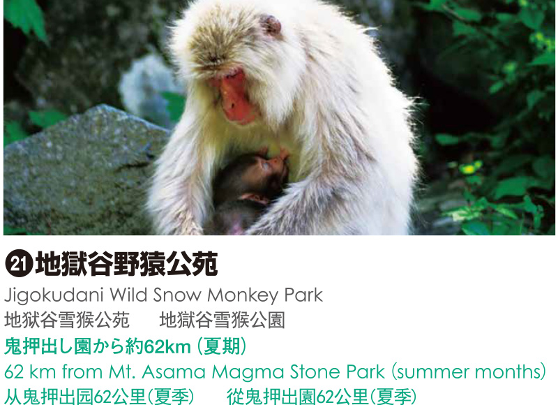 21_地獄谷野猿公苑
