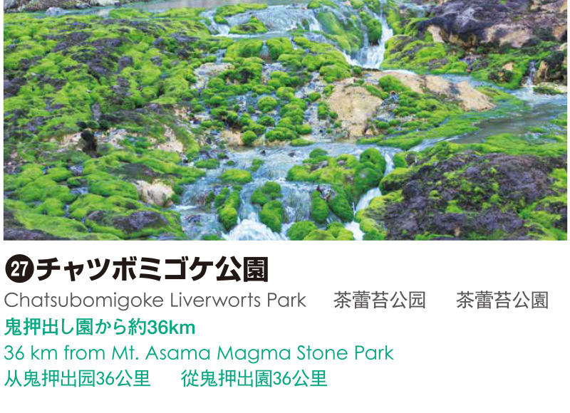 27_チャツボミゴケ公園