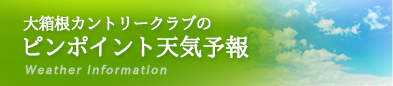ピンポイント天気予報