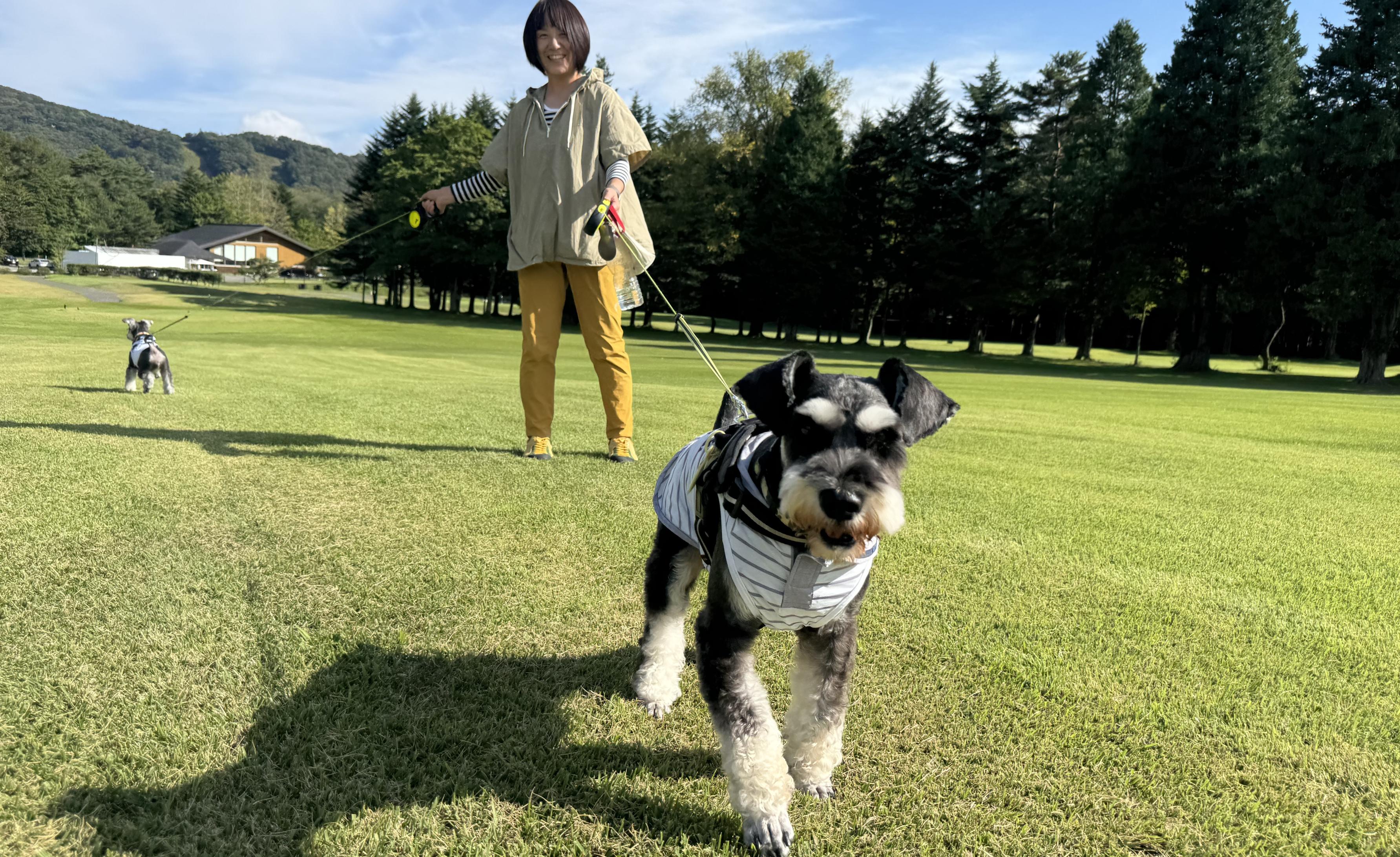 ワンちゃんと芝さんぽ2026