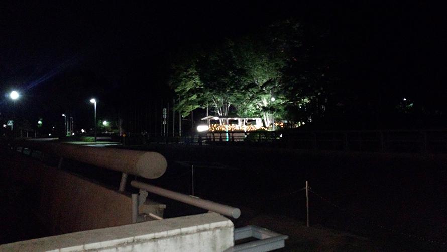 夜は照明を点灯しています