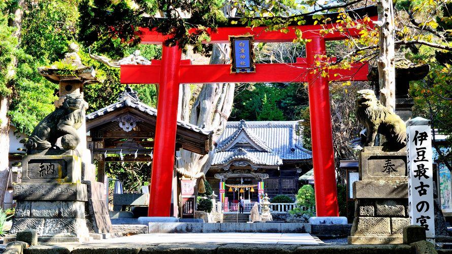 【タイムセール】海辺の神社と白浜を訪ねる秋冬旅（夕朝食付き）