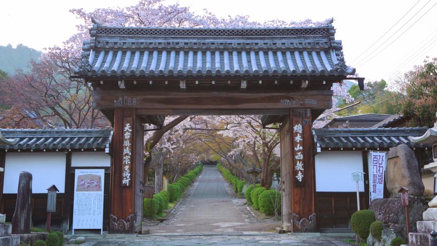 西教寺