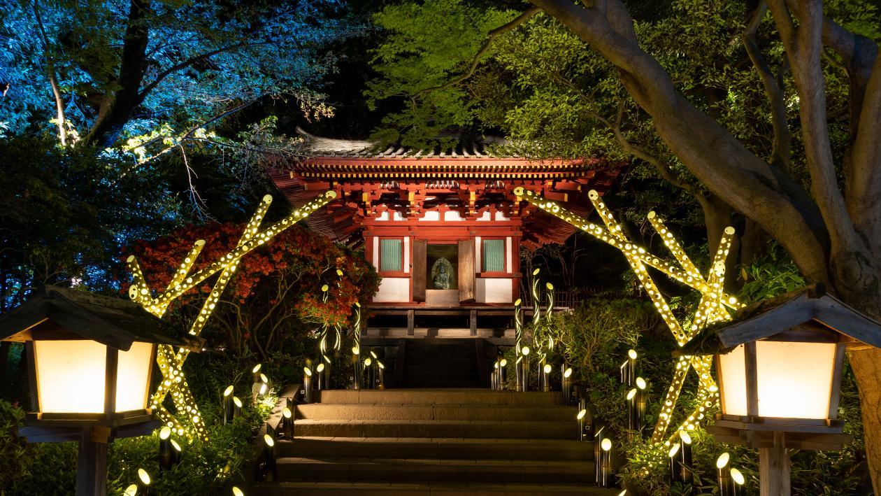 夜の日本庭園でライトアップされた竹あかりと観音堂。