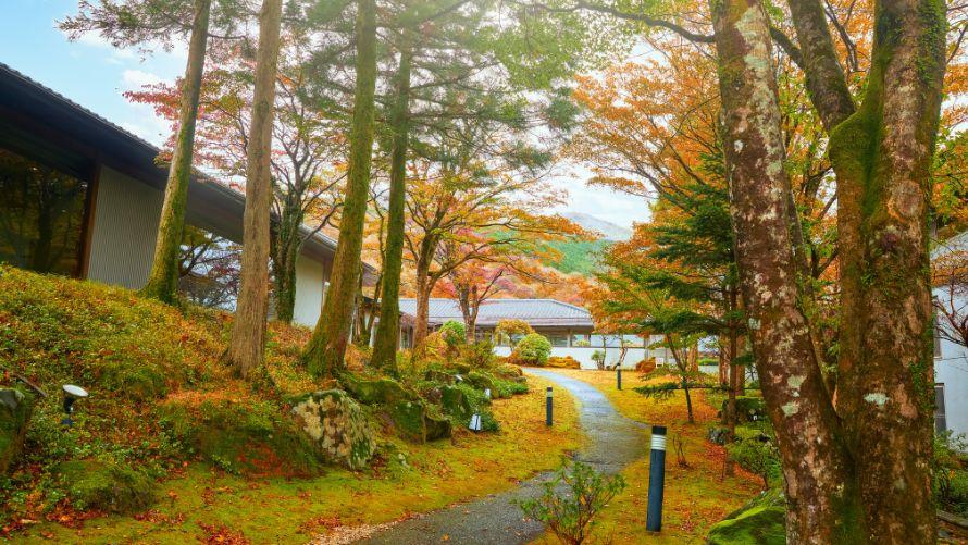 紅葉の中庭
