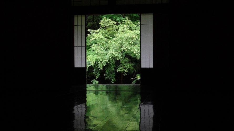 見どころその2：「床みどり」が映し出す季節の趣