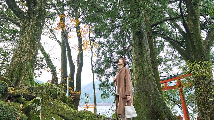 箱根九頭龍の森,ザ・プリンス 箱根芦ノ湖,パワースポット,九頭龍神社,白龍神社,レストランレイクサイドグリル,縁結び,森林浴,箱根,散策,散歩,箱根