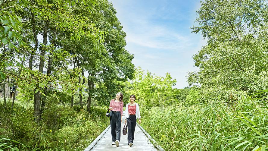 涼しさ感じる釧路での快適滞在