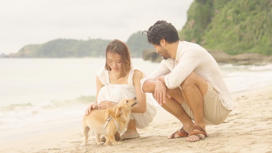 愛犬と旅するビーチリゾート～ワンちゃんと一緒にお泊り！