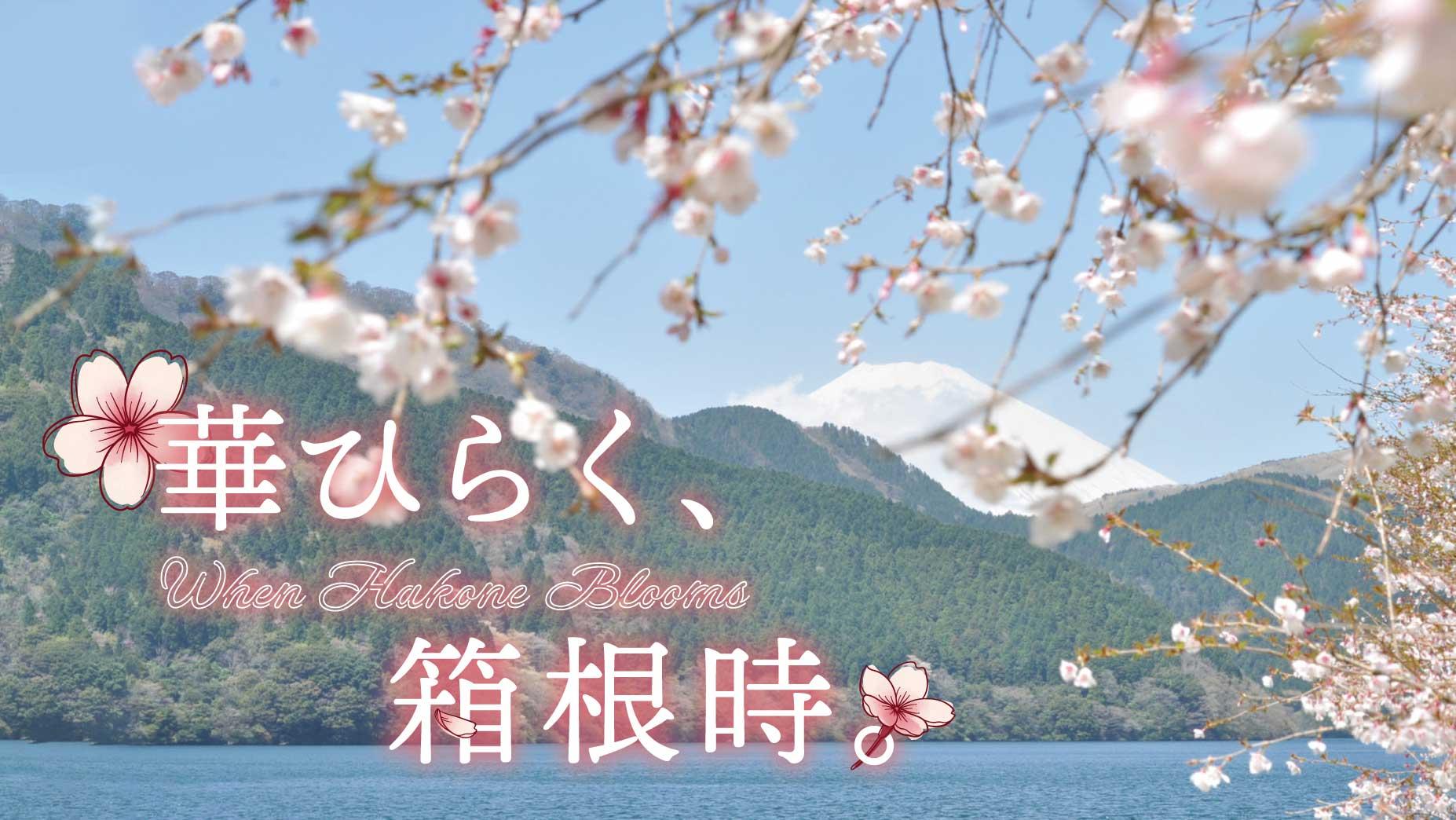 桜色のフレームで彩る富士山・芦ノ湖