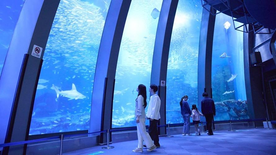 1日中楽しめる「海・島・生きもの」のテーマパークへ