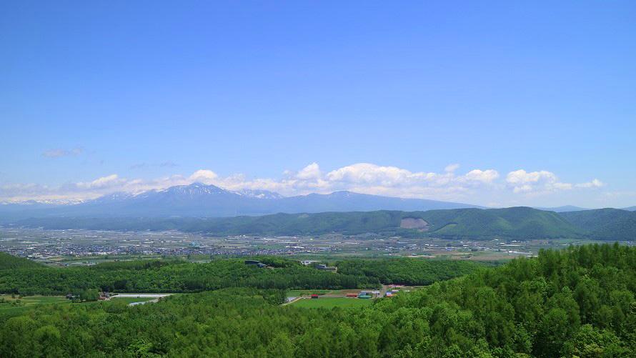 ランチレストラン