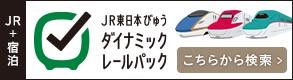 JR東日本ダイナミックレールパック