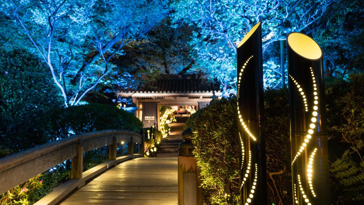 夜の日本庭園に灯る竹あかり
