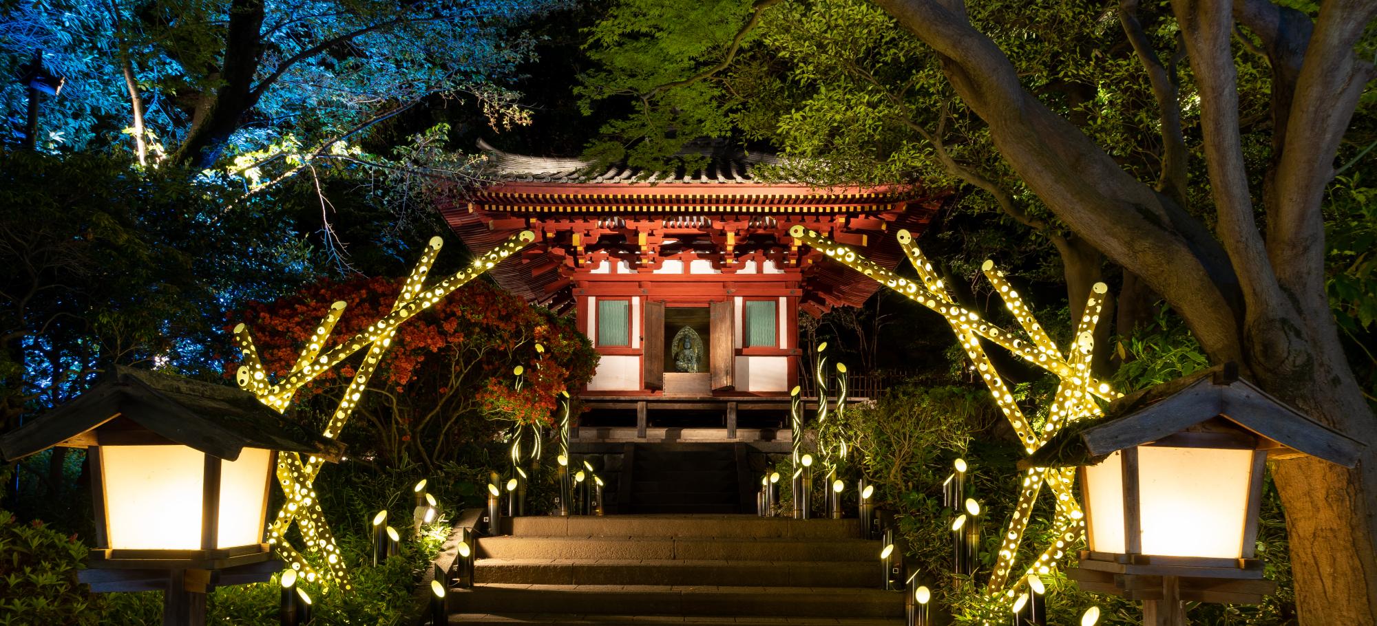 takeakari