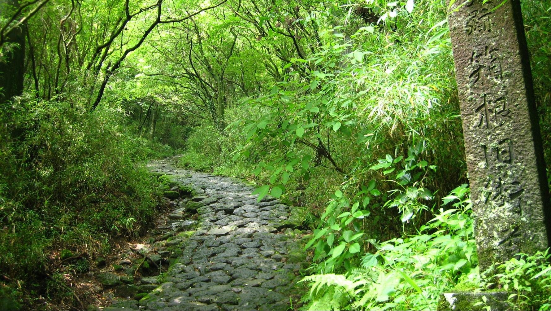 箱根旧街道