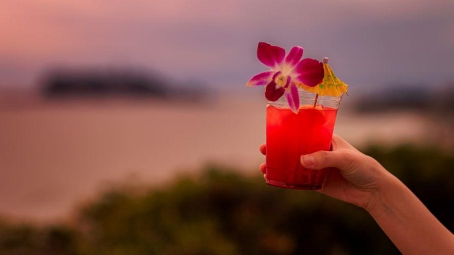 体験できること夏