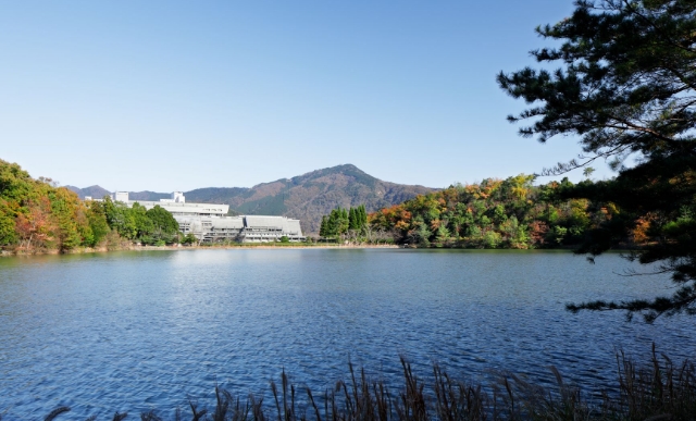 宝が池公園