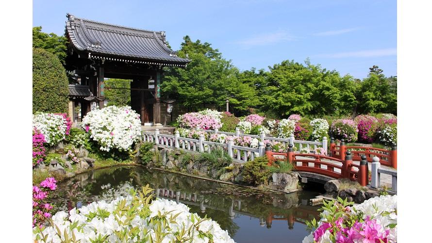 妙満寺