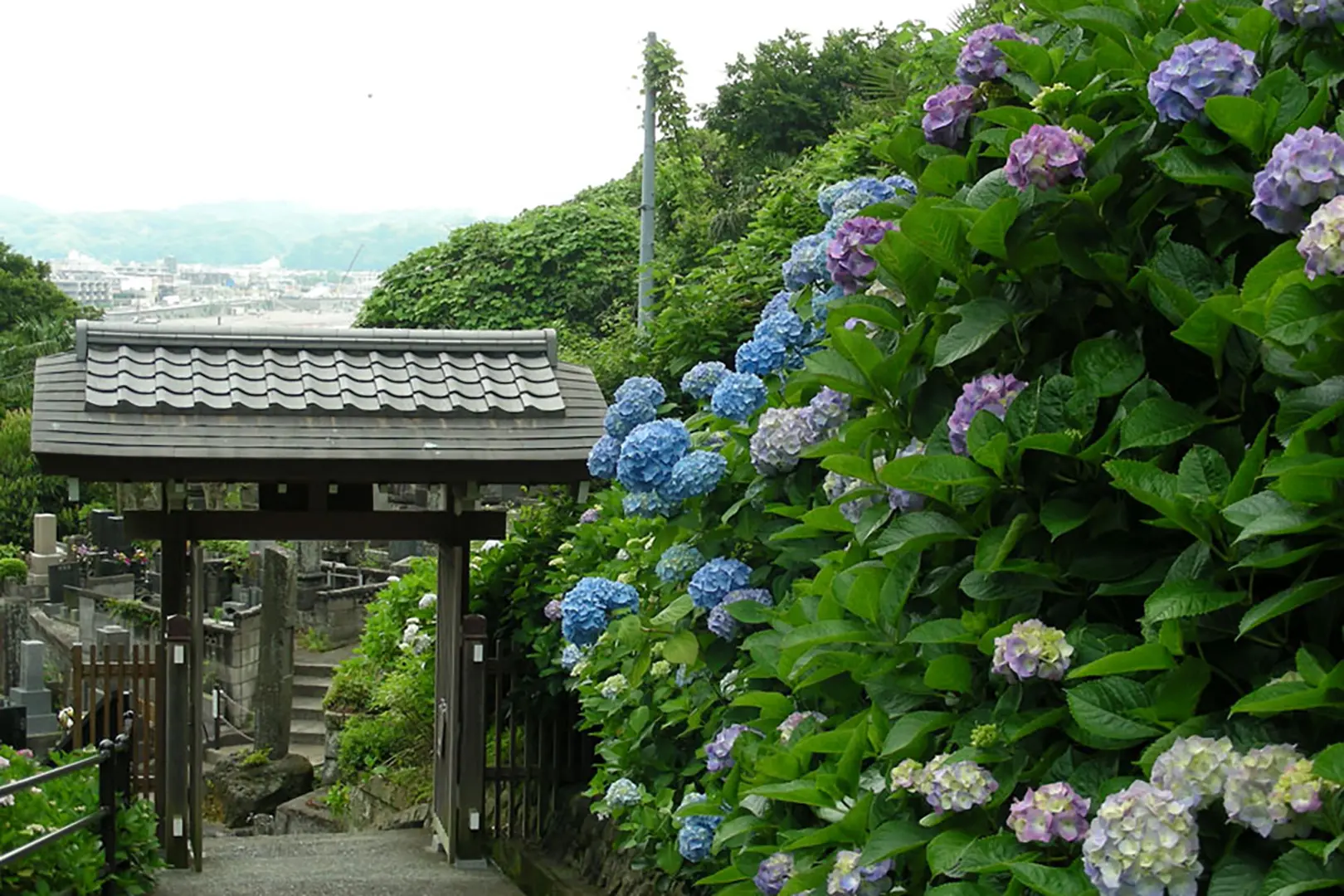 成就院