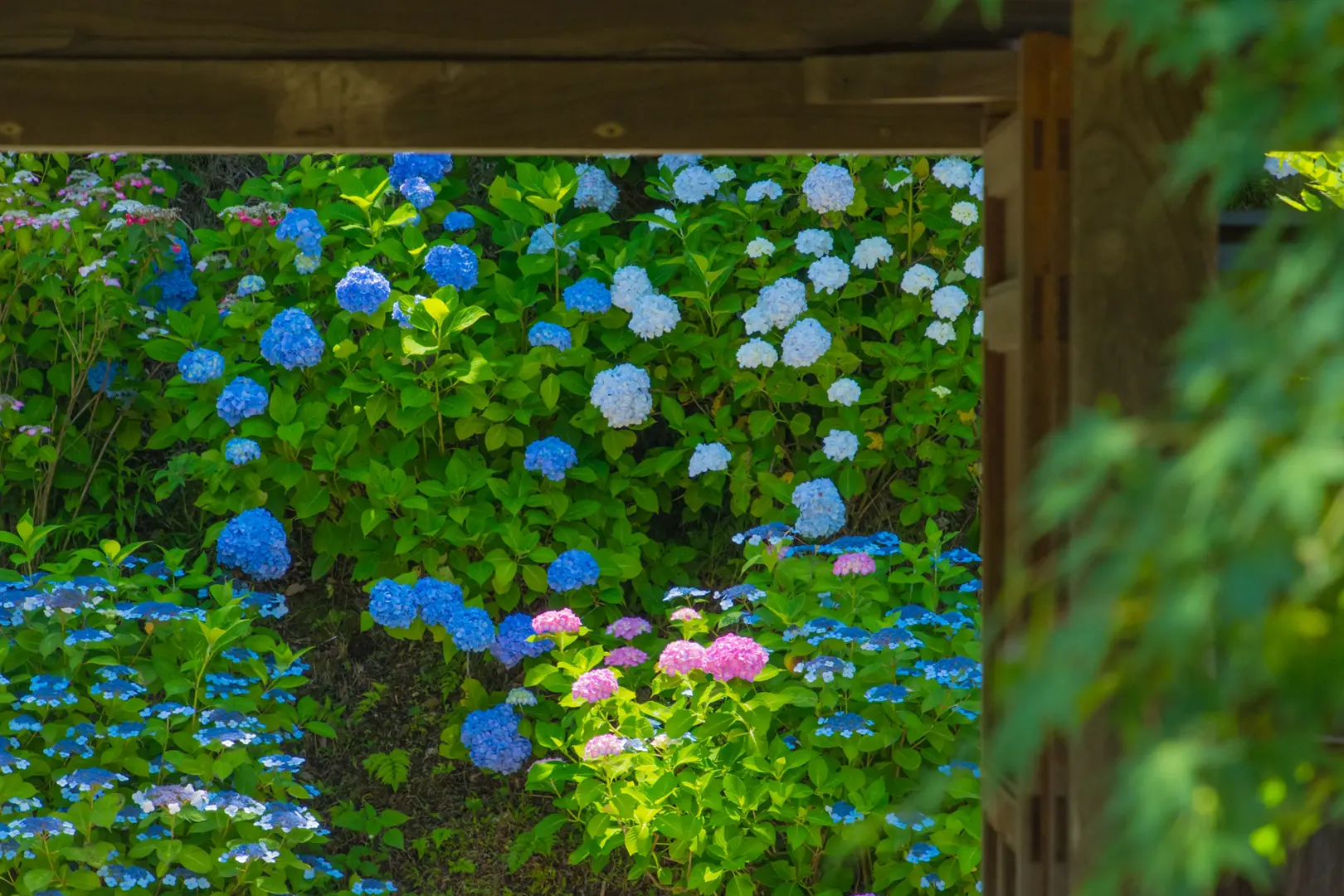 長寿寺