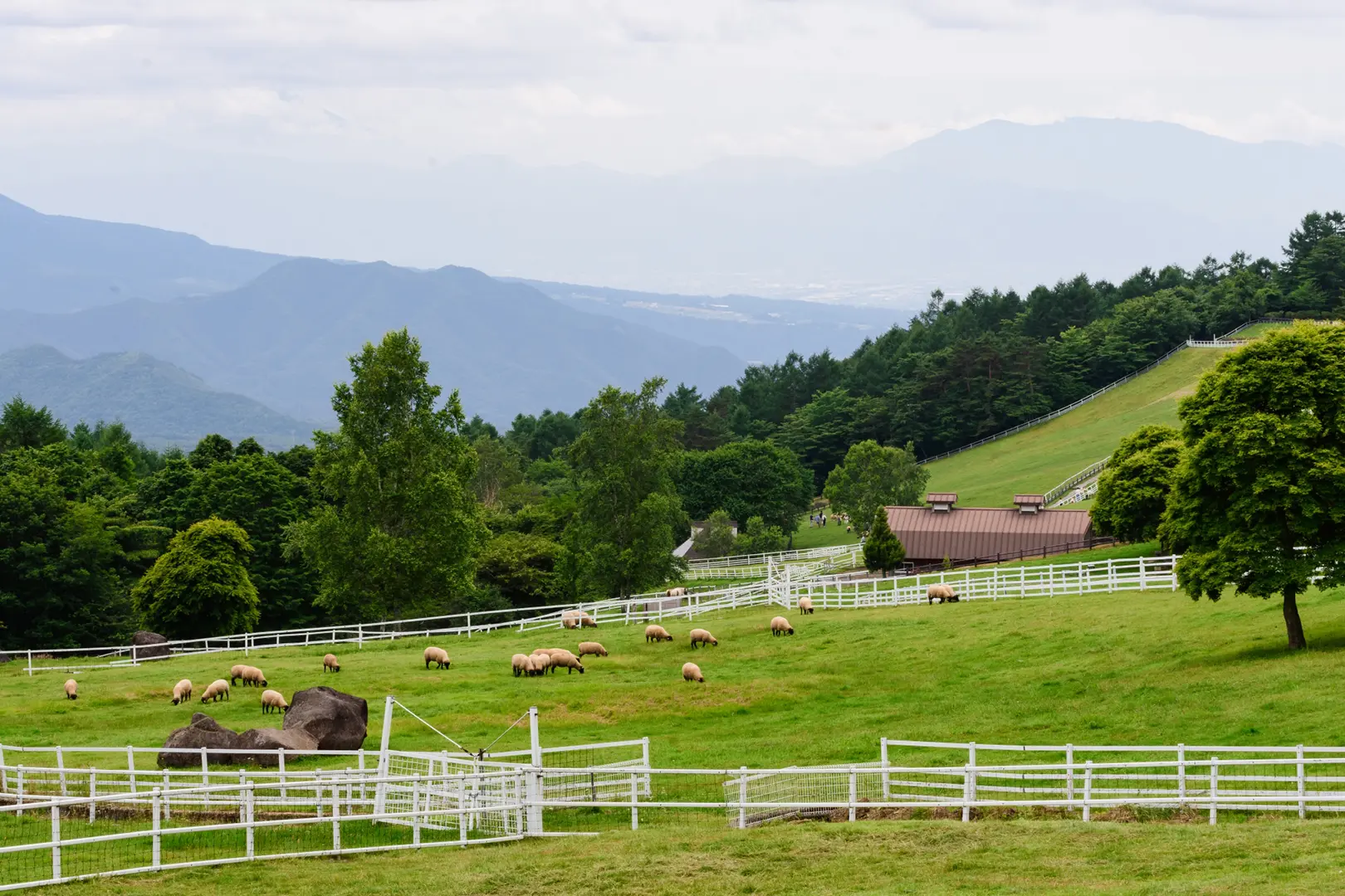 清里高原（山梨県）