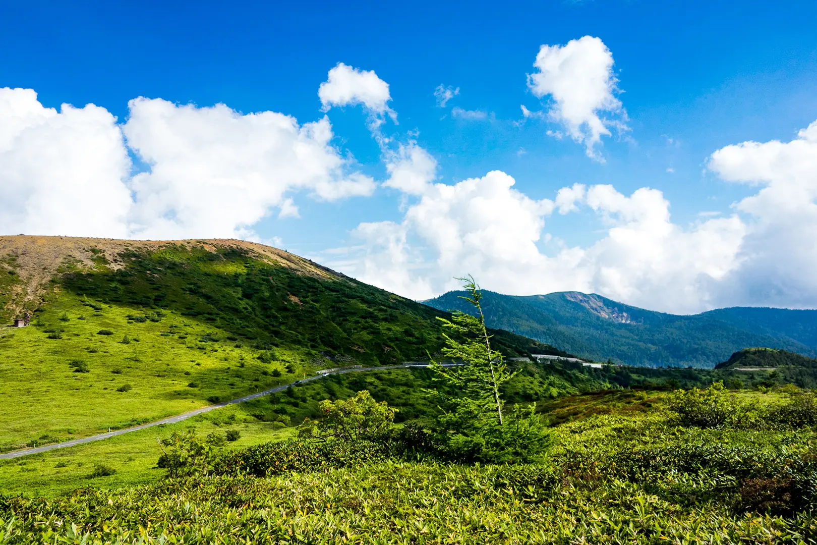 志賀高原（長野県、群馬県、新潟県）