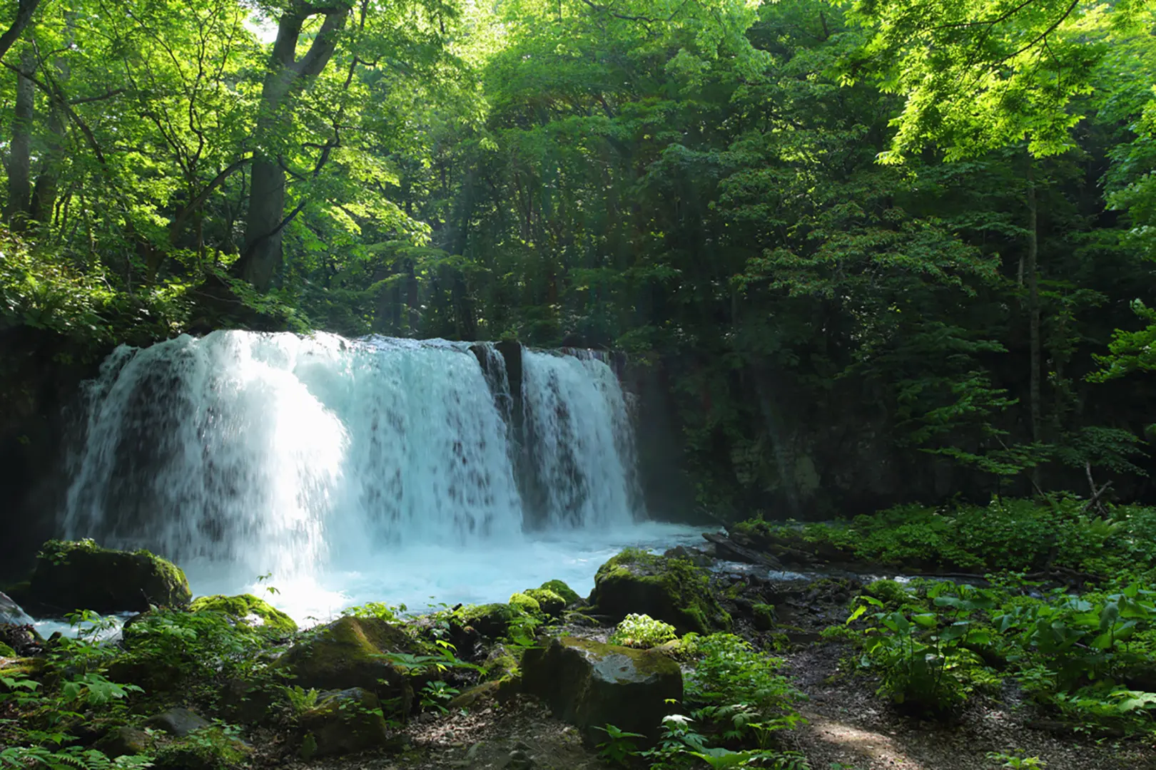 奥入瀬渓流（青森県）	