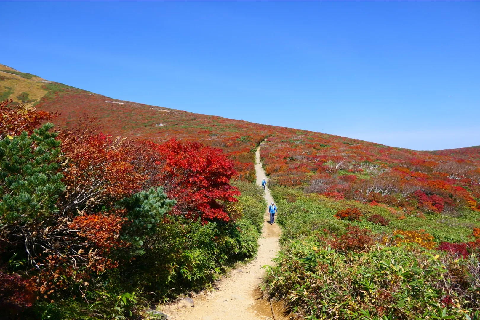 心地よい気候で登山がしやすい