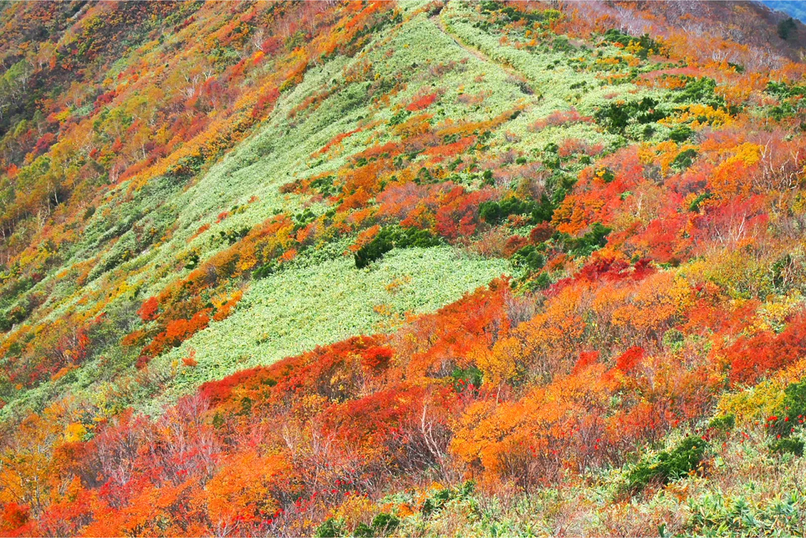 平標山(群馬県・新潟県）
