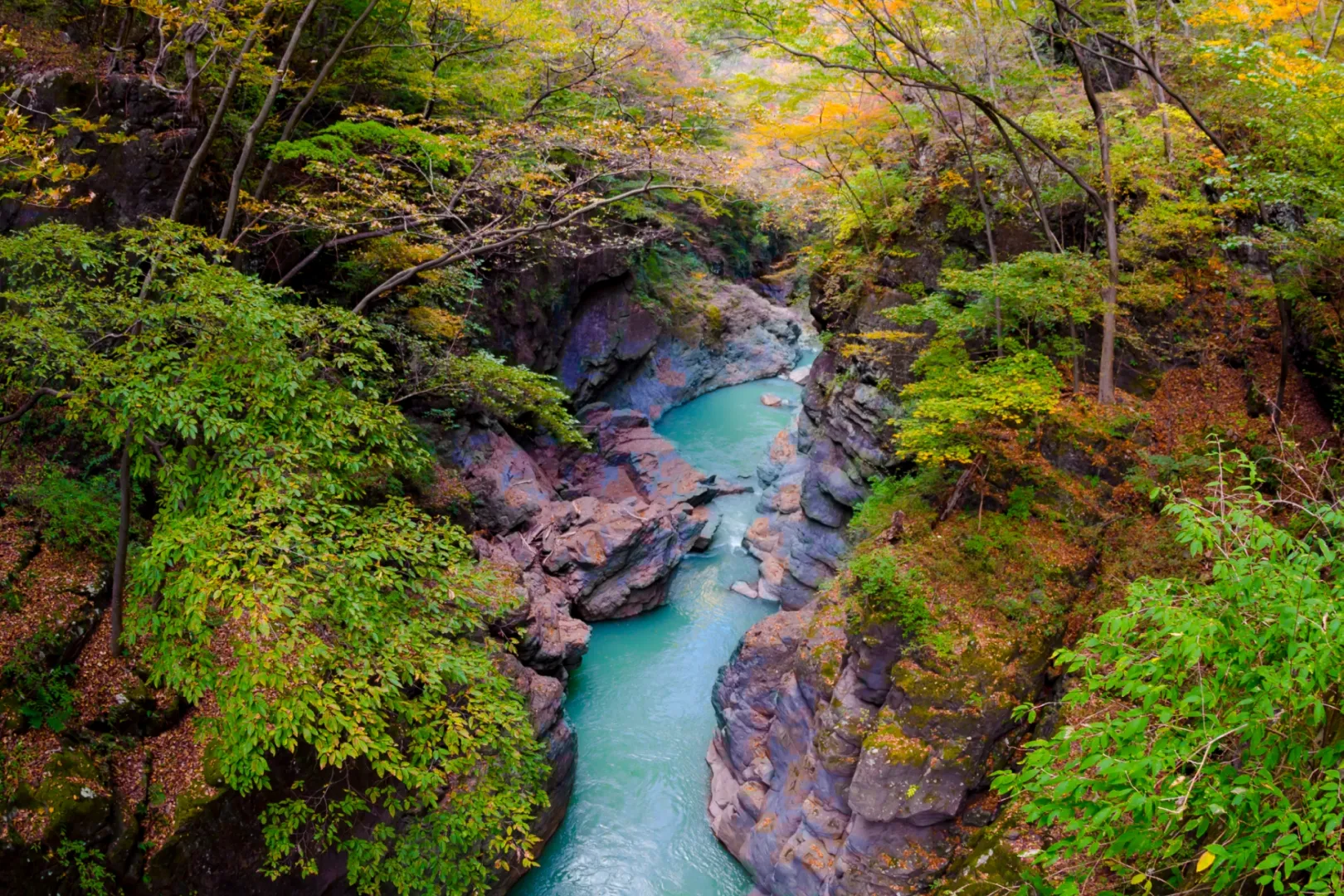 吾妻渓谷(群馬県・長野県)