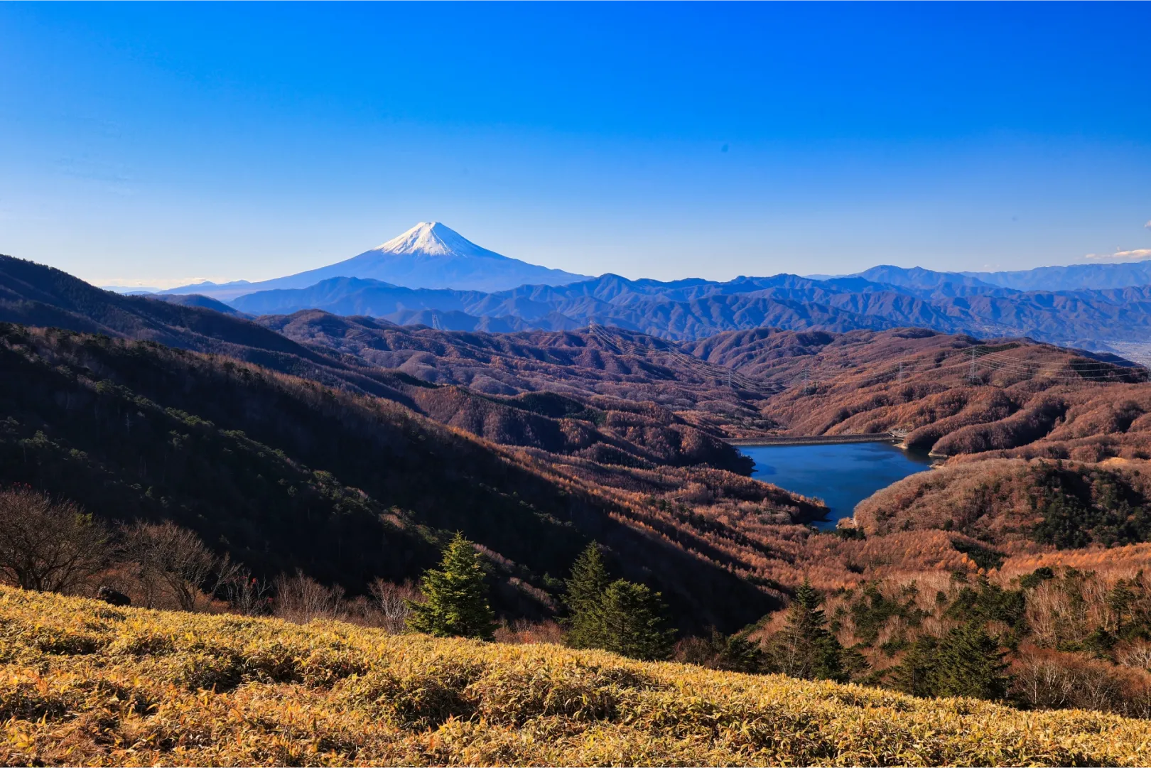 大菩薩嶺(山梨県)