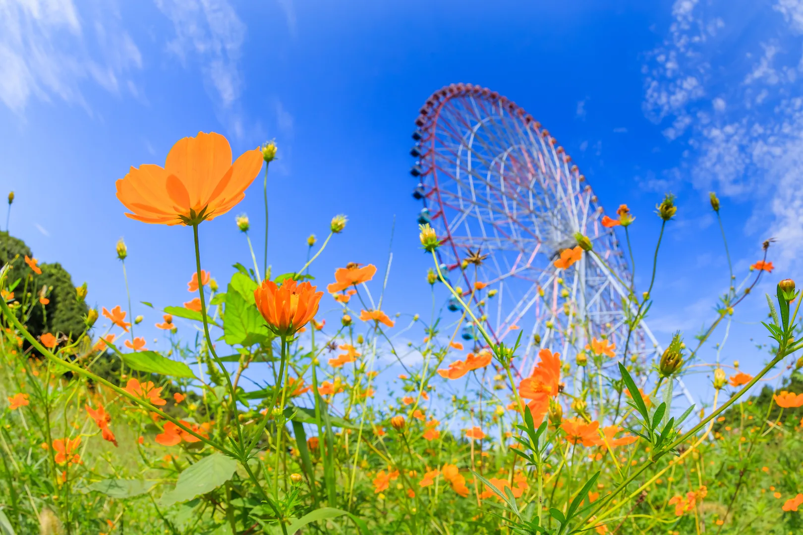 【東京】葛西臨海公園