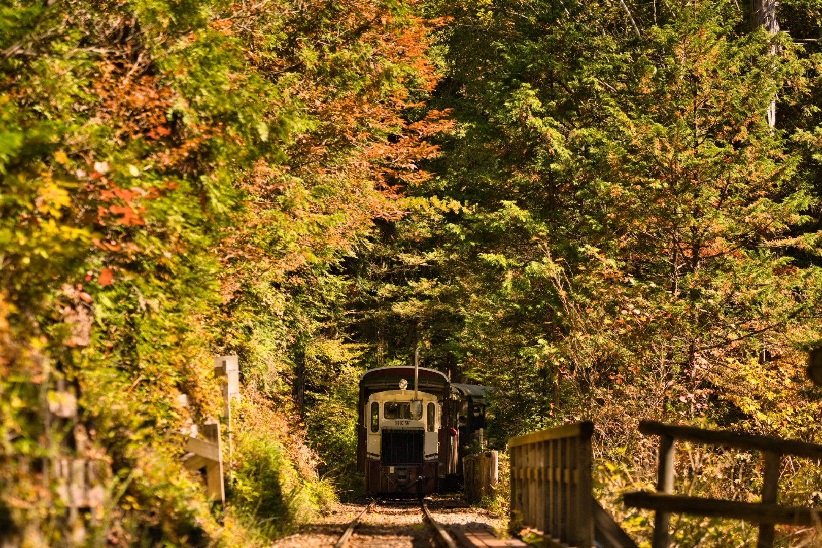 赤沢森林鉄道