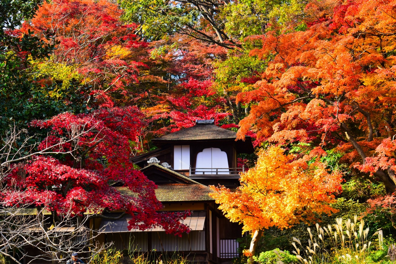 三渓園
