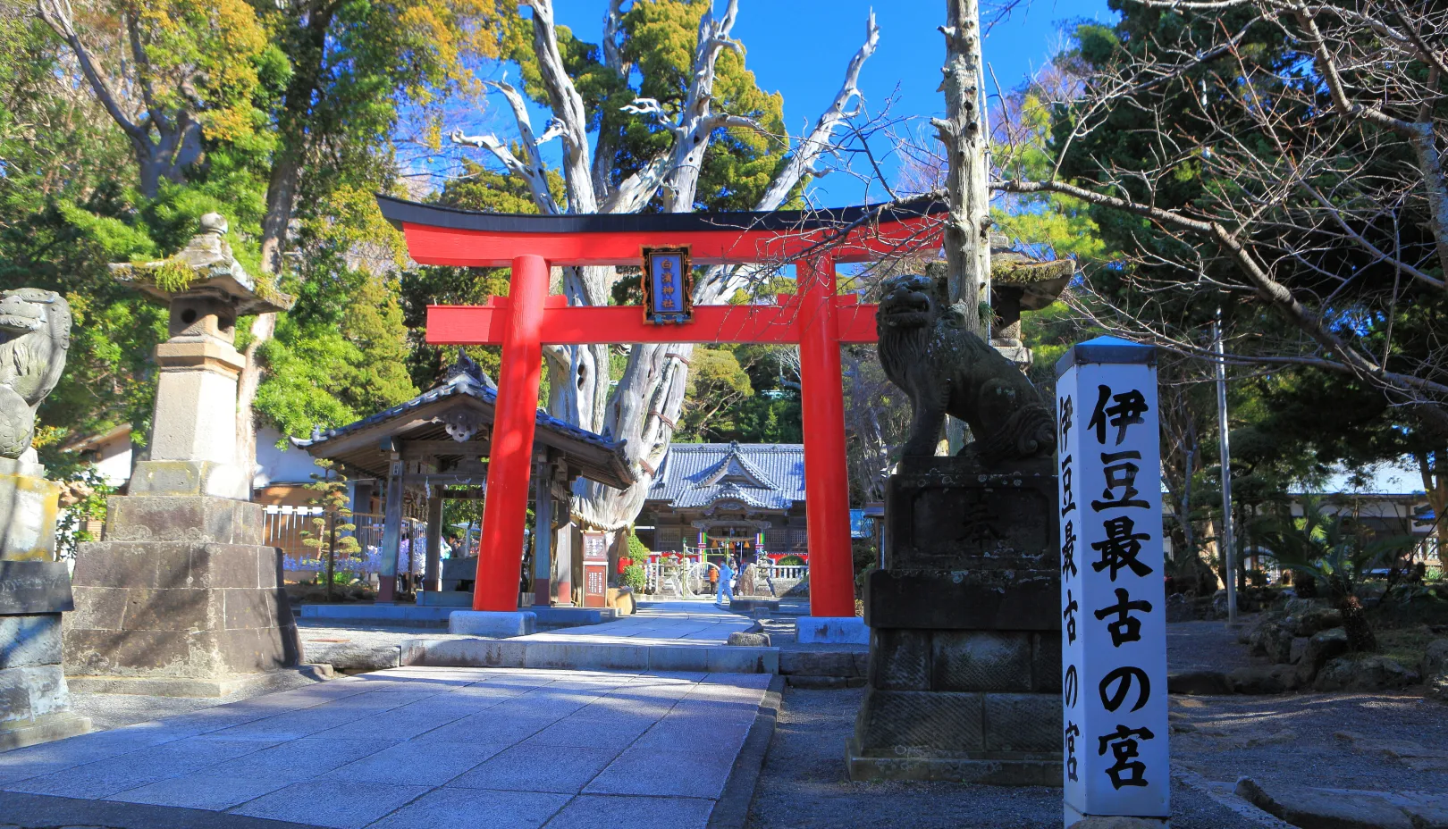 伊古奈比咩命神社の本殿
