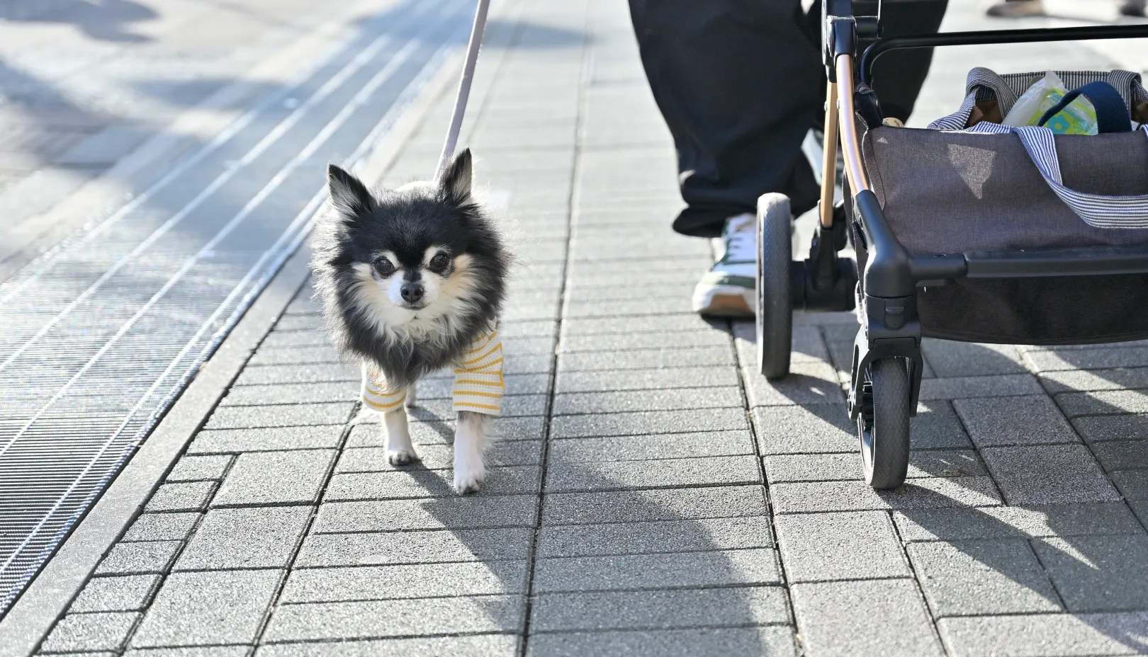軽井沢・プリンスショッピングプラザは店舗内に入れますか？