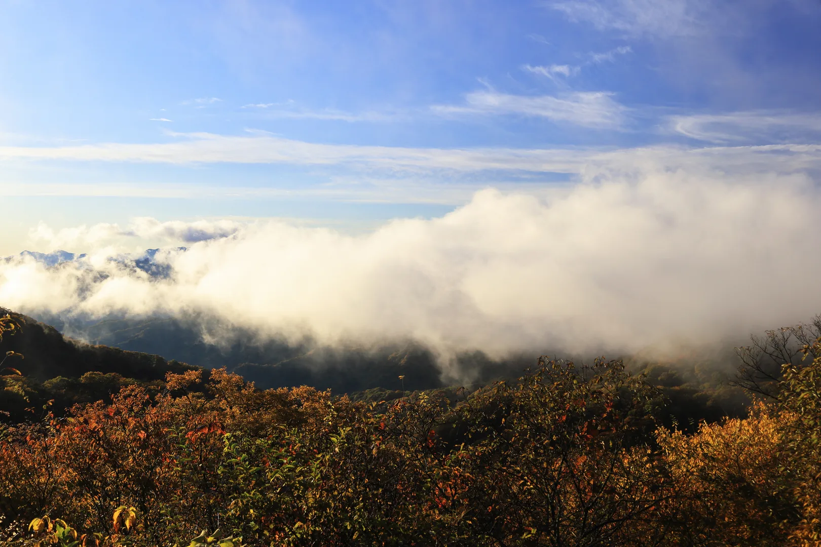 PIXTAより「旧碓氷峠見晴台から望む雲海と紅葉」