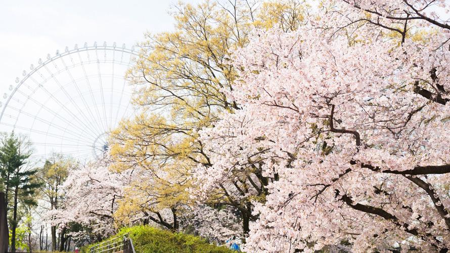 万博記念公園