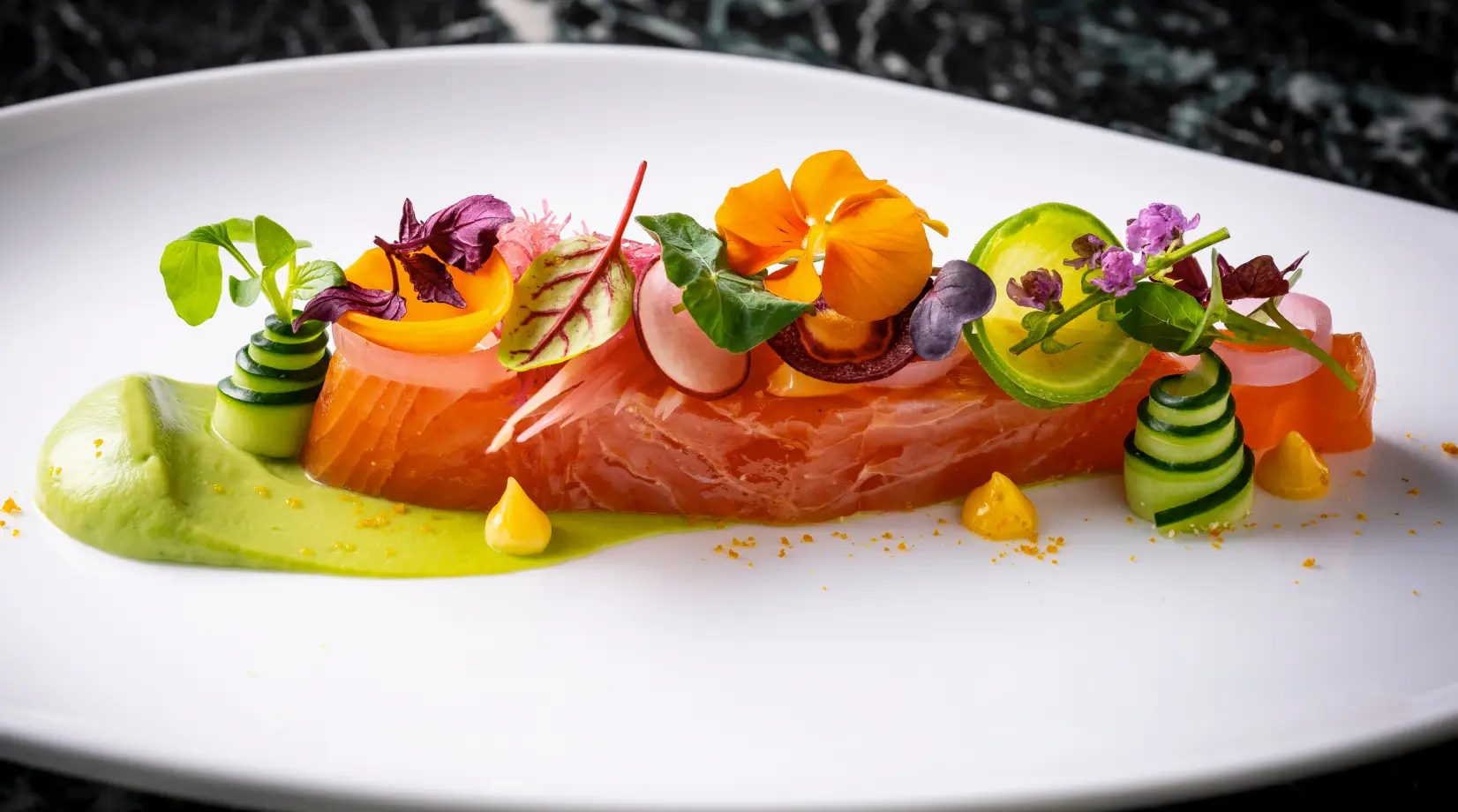 Salmon