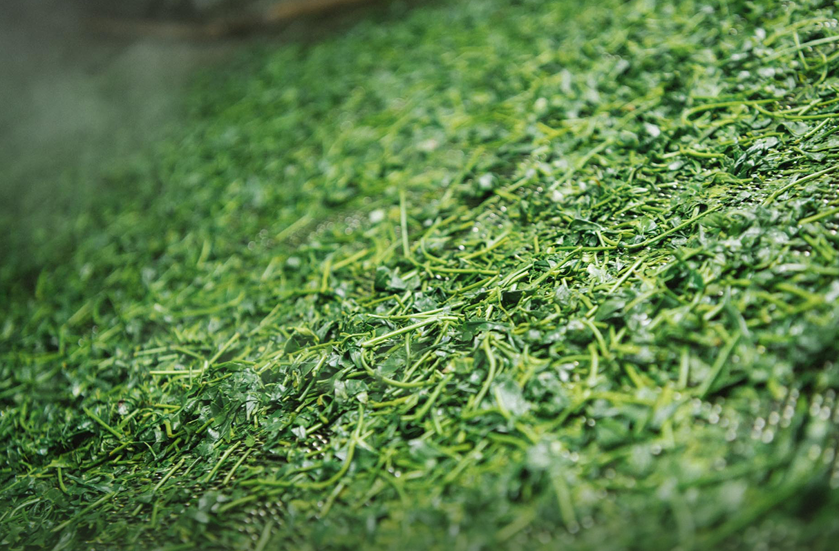 煎茶