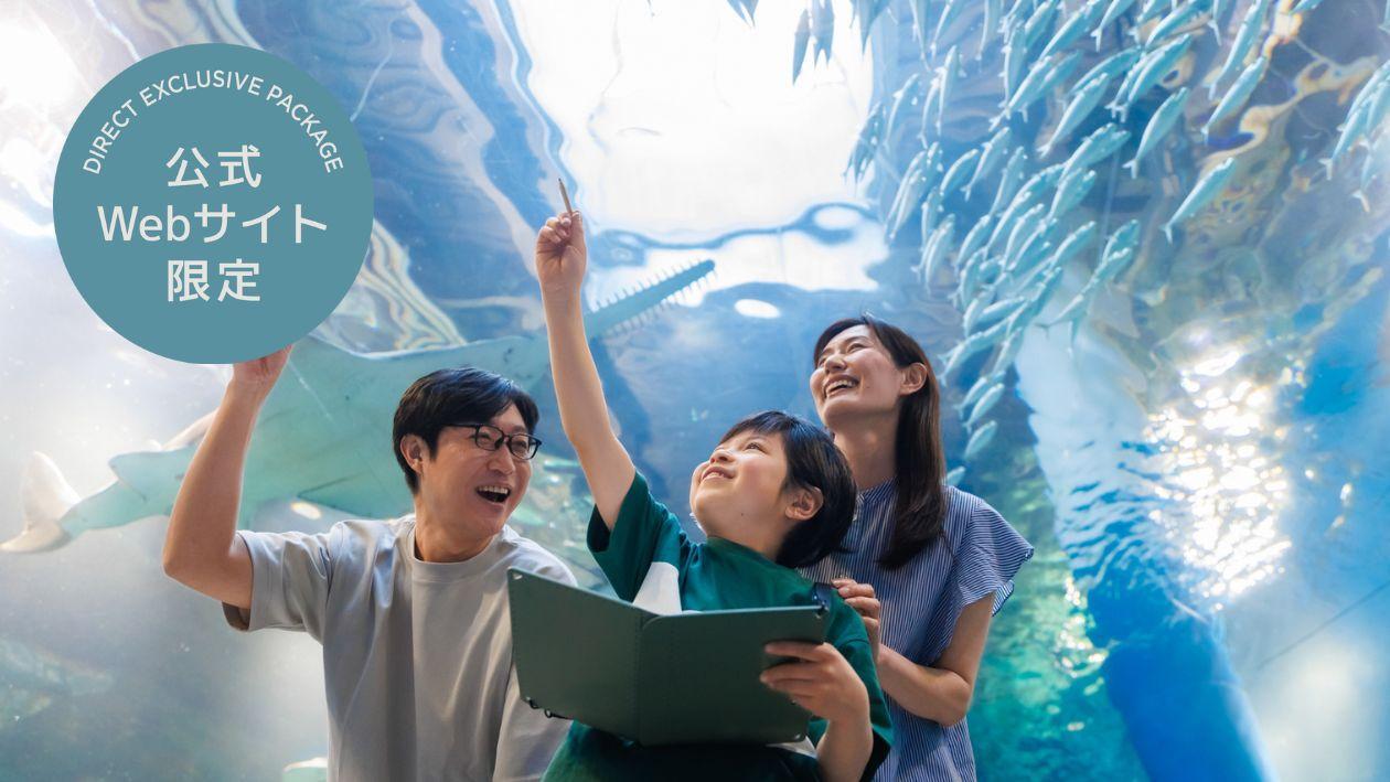 水族館で自由研究！イルカにスペシャルゼリーをあげよう