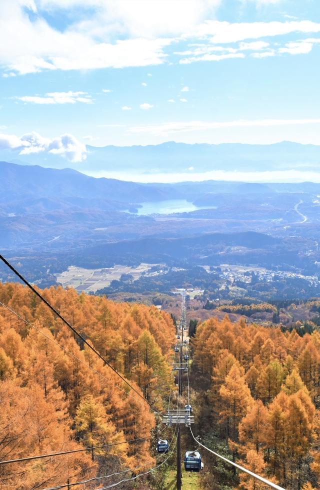 妙高杉ノ原スキー場