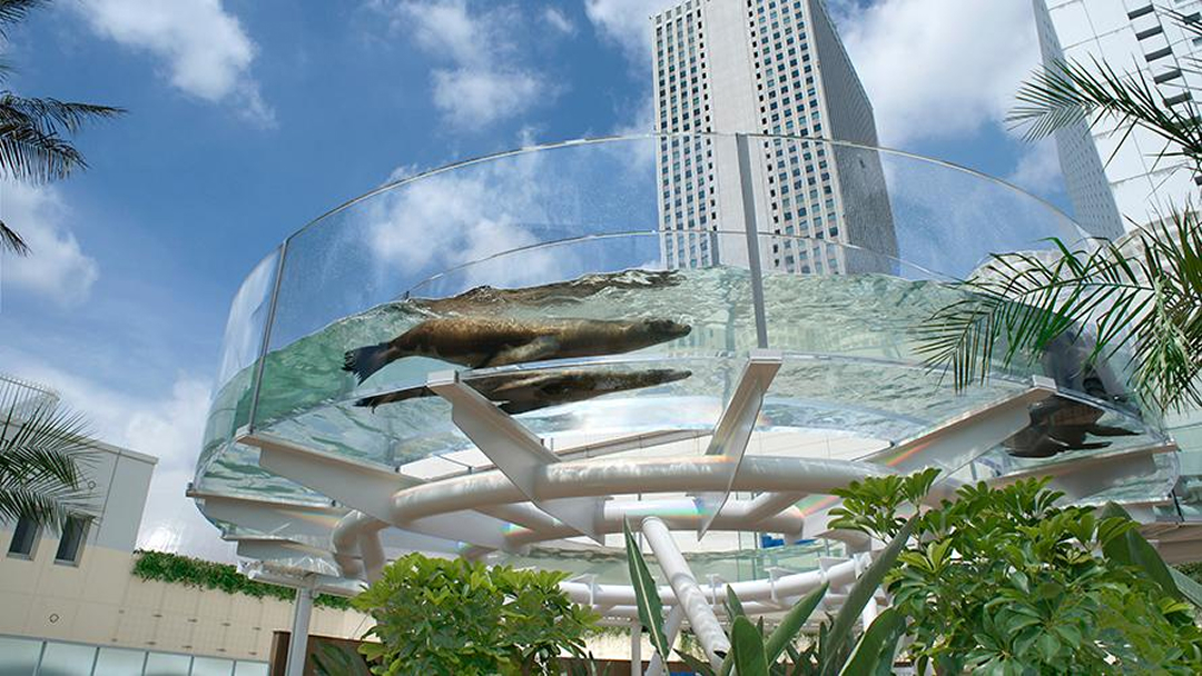 “サンシャイン水族館”チケット付きステイプラン