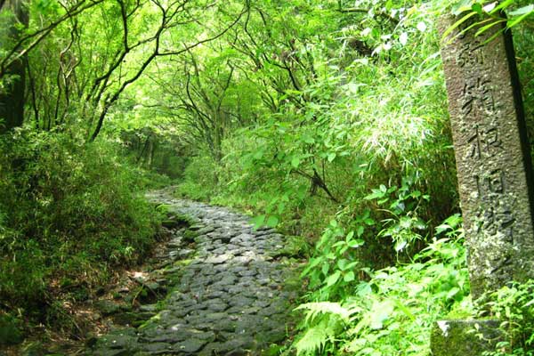 箱根旧街道
