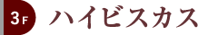 3F ハイビスカス